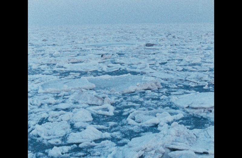 Egomania. Island without Hope: Extreme working conditions: bitterly cold shots of the North Sea island of Langeroog 